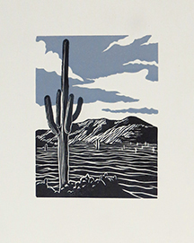 Lone saguaro